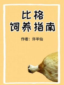 比格饲养指南